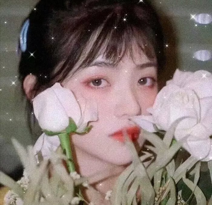 机械玩家封面