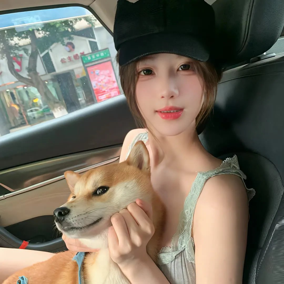 双生杀手封面