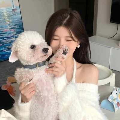 司藤封面